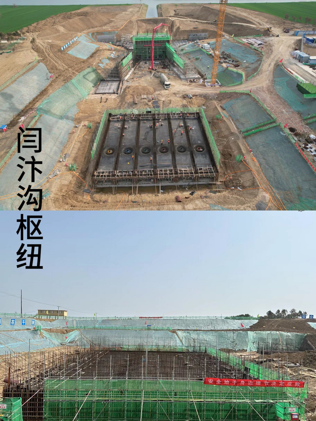 新.jpg