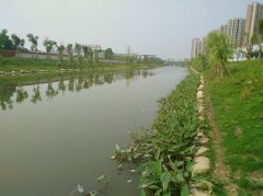 叠石驳岸